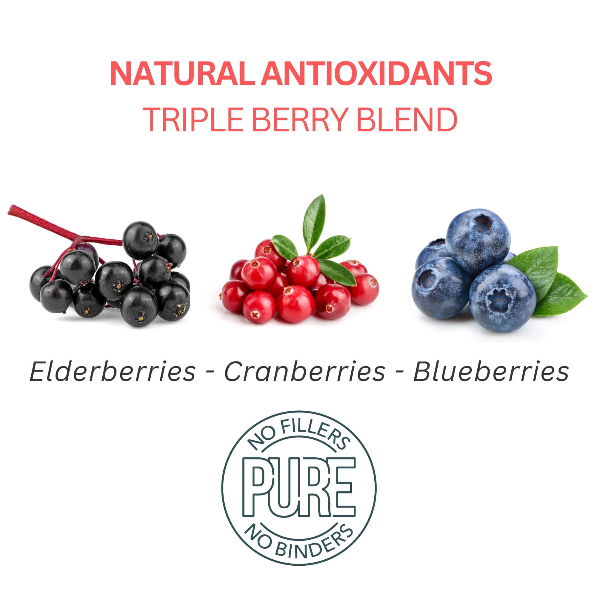 Turkey & Triple Berry Dog Treat - Image 5